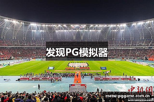 发现PG模拟器